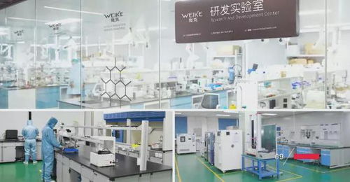 品質創新研發，鑄就輝煌——東莞膜材涂布廠的能源技術新篇章