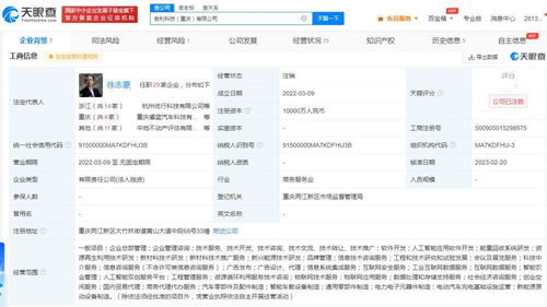 吉利科技重慶公司注銷始末 成立不足一年，新能源原動設備銷售業務何去何從？